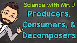 Producers Consumers and Decomposers  Ecosystems [upl. by Dar]