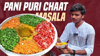 Hyderabadi Masala Papdi Chana Chaat  Pani Puri  Hyderabad Street Food [upl. by Felicity18]