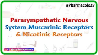 2Parasympathetic Nervous System  Muscarinic receptors and Nicotinic receptors [upl. by Jackelyn574]