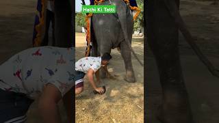 Puneet Superstar Hathi Ki Tatti Khai shorts [upl. by Reivilo]