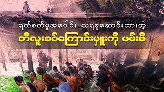 နယ်လှည့်သတ်ဖြတ်နေတဲ့ ဘီလူးစစ်ကြောင်းမှူးကို ဖမ်းမိ ရုပ်သံ [upl. by Esille]