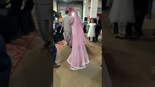 Wedding  Bridal Groom Entrywalimashadibridalentrgroomweddingbrideshortstrending [upl. by Boutis181]