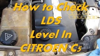 Citroen C5  How to Check LDS Level  Citroen Hydractive Suspension Fluid Level [upl. by Sallee912]