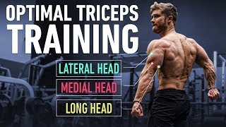 How To Build Huge Triceps with Optimal Training Technique [upl. by Ainoz742]