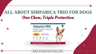 AllinOne Parasite Protection for Dogs Discover quotSimparica Trioquot 🐾 [upl. by Glogau139]