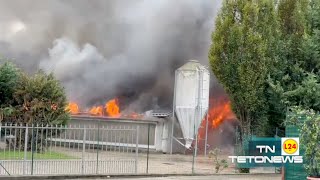 Incendio a Vellezzo Bellini in fiamme un allevamento di tacchini [upl. by Aikmat624]