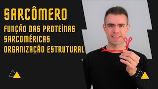 📕 Sarcômero Função das Proteínas Sarcoméricas e Estrutura Organizacional [upl. by Farant645]