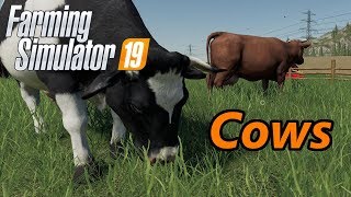 Farming Simulator 19  An InDepth Guide to Feeding Your Cows  A Tutorial [upl. by Jacinto702]