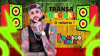 ERMINIO FÉLIX  TRANSA REGGAE  O RETORNO 2024  PAREDÃO GRAVE [upl. by Soutor443]