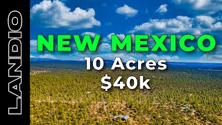 10 Acres of NEW MEXICO Land for Sale • LANDIO [upl. by Gannie807]