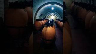 Georgian wine factorykakhetisweet stock makinggeorgia tripyoutubeshorts [upl. by Eleets]