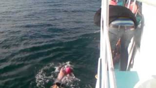 20090714 Nick Adams Channel Swim  Part 1 [upl. by Lorrac]