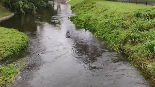 Less Than 24 Hours PreMilton Little Wekiva River Full Video [upl. by Tilden]