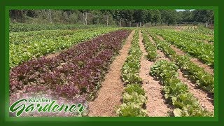 Biodynamic vs Organic Farming Practices  Volunteer Gardener [upl. by Haughay923]