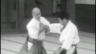 Inoue Noriaki Sensei  Shinei Taido  Swariwaza amp Tachiwaza [upl. by Rennat]