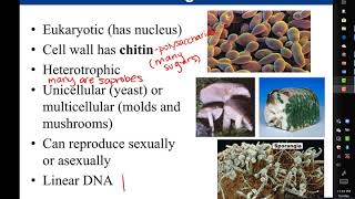 Chapter 1 Introduction to Microbiology [upl. by Wernher]