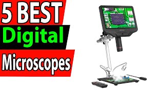 5 Best Digital Microscopes Review 2024 [upl. by Ruggiero]