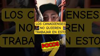 Trabajos fáciles en Canadá [upl. by Mita]