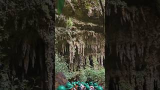 CAVE ADVENTURE  cavernas de camuy 🇵🇷 Puerto Rico shorts travel adventure [upl. by Marlin]