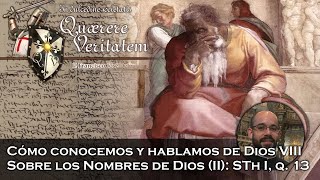 Sobre los Nombres de Dios II STh I q 13  Quaerere Veritatem 57 [upl. by Vokaay]