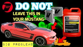 MUSTANG OWNERS MUST CHANGE THIS TO PROTECT THEIR ENGINES  THIS COOLANT CAN KILL INTERNAL ENGINE [upl. by Nagol]