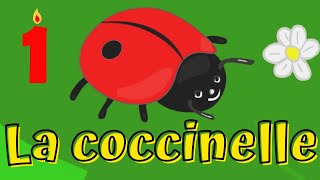 La coccinelle [upl. by Settera]