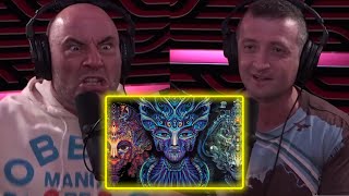 Joe Rogan Are DMT Elves Real  Joe Rogan Experience [upl. by Helgeson]