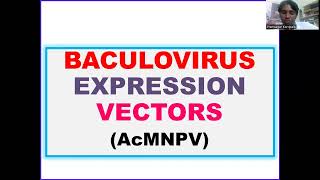 Baculovirus expression Vectors AcMNPV DrDNAPrimer [upl. by Bander290]