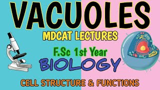 Vacuoles  Structure and Functions  Different types of Vacuoles  FSCMDCAT Biology Lectures [upl. by Ihcekn]