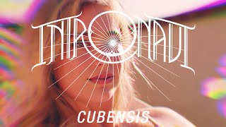 Intronaut  Cubensis OFFICIAL VIDEO [upl. by Regdirb]