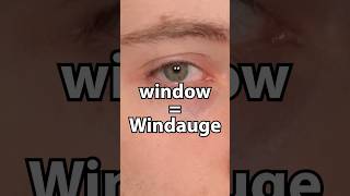 window  Windauge [upl. by Deedahs]