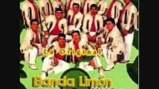 Original Banda El Limon Laurita Garza [upl. by Allisirp]