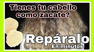 EL MEJOR TRATAMIENTO PARA CABELLO PROCESADO Y MALTRATADO COMO ZACATE [upl. by Gnivri]