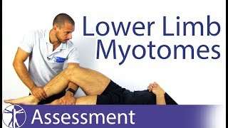 Myotomes Lower Limb  Peripheral Neurological Examination [upl. by Hploda]