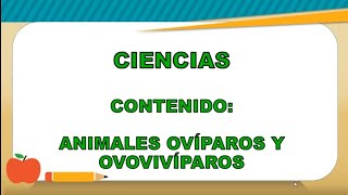 Animales ovíparos y ovovivíparos  Ciencias  Segundo grado [upl. by Llemart54]