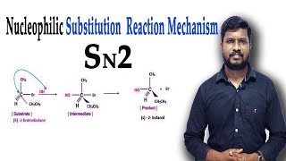 6Nucleophilic Substitution Reaction  SN2 Reaction Mechanism  Haloalkanes [upl. by Maurilla]