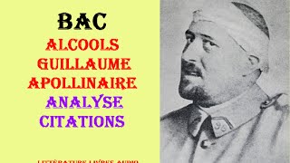 Guillaume Apollinaire Alcool  BAC  Analyse Parcours Modernité Poétique [upl. by Aissak]