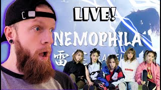 LIVE NEMOPHILA  RAITEI REACTION [upl. by Kerrison]