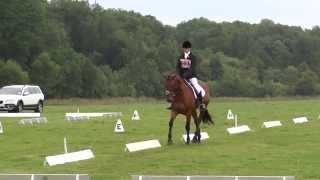 BE Novice 112 dressage test [upl. by Ettevol]