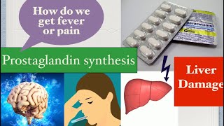 Paracetamol  Mechanism of action toxicity dosage  Acetaminophen [upl. by Hiroshi]