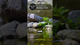 Bible Verse of the Day  August 08 2024  Daily Scripture bible scripture verseoftheday quotes [upl. by Hashim]