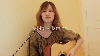 Habibi  Tamino Acoustic Guitar Cover [upl. by Nepean765]