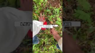 Brush cutter Unboxing video  brushcutter grasscuttingmachine asmr unboxing [upl. by Iborian358]