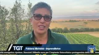 TURISMO UNA PIEVE MILLENARIA RIAFFIORA DAI CAMPI DI GRANO IN TOSCANA IL PRIMO ARCHEOAGRITURISMO [upl. by Nahtam803]