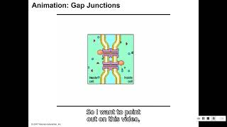 63 Cell Junctions [upl. by Anail748]