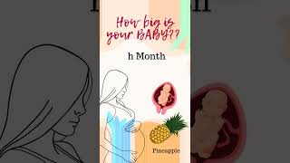 Pregnancy week by week  baby development month by month  How big is the baby now  pregnancy [upl. by Nirual]