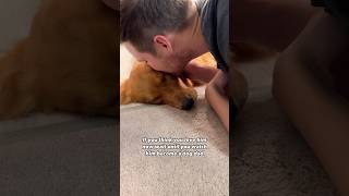 Golden retriever puppy Otis and his dad have the sweetest bond ❤️ dogdad goldenretriever puppy [upl. by Giffy]