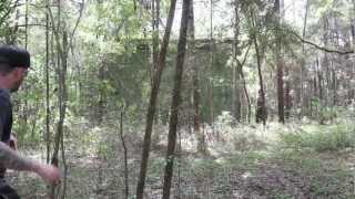 Failed Florida Canal Project  Giant ABANDONED Structures [upl. by Methuselah970]