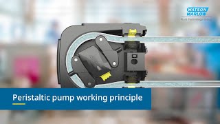 How do peristaltic pumps work Industrial  WMFTS [upl. by Hedwiga]