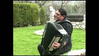 Slobodan Bozinovic Kralj vlaske muzike [upl. by Gall]